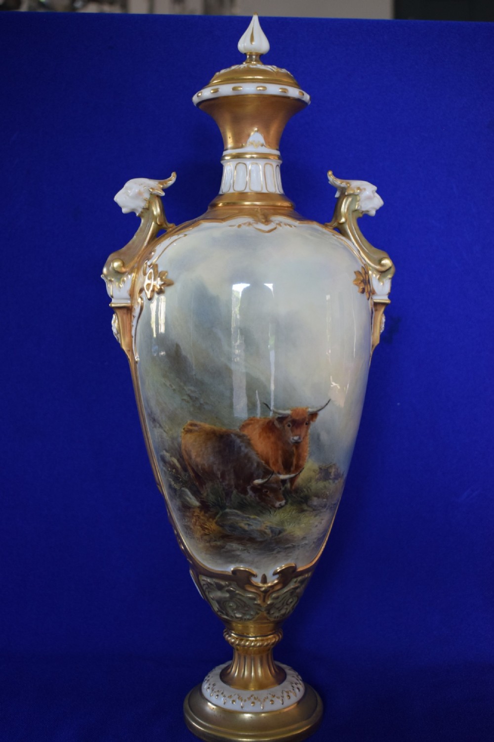 royal worcester large vase and cover highland cattle by john stinton